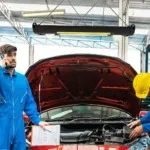 Servicio Mirkraft Vega