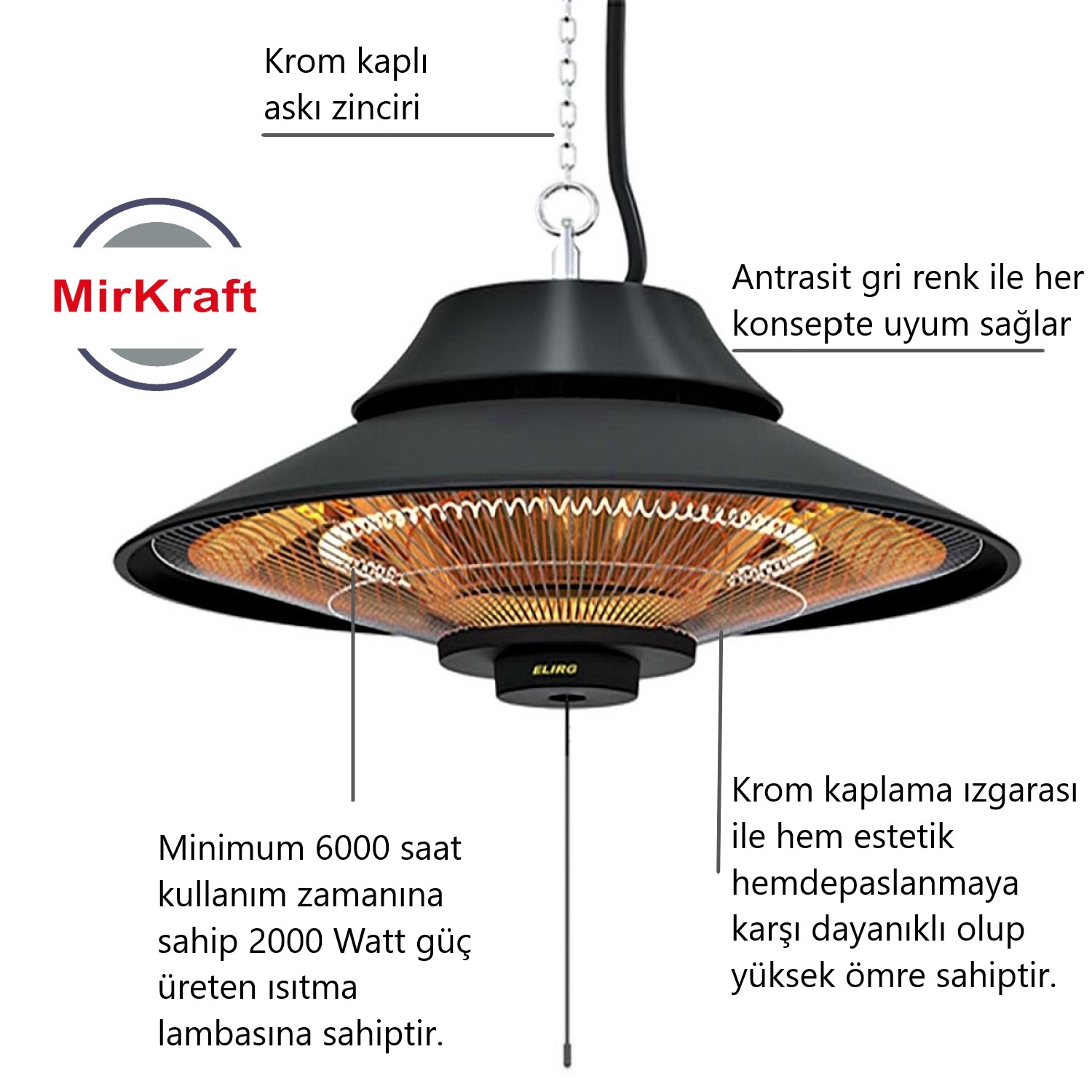 ELIRG
